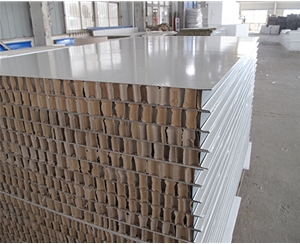 上海50厚1150型纸蜂窝夹芯板